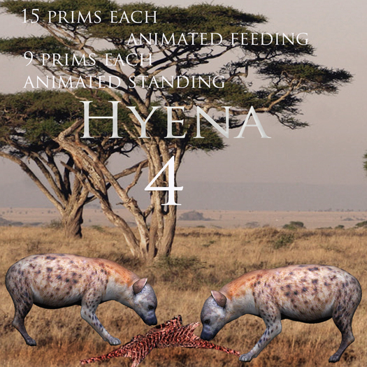 Hyena   5