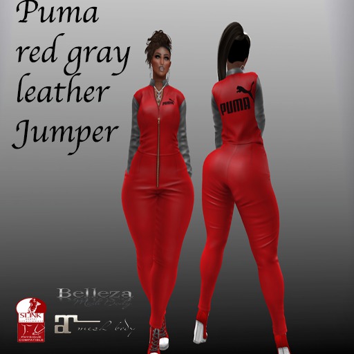 Puma jumper with gray sleeve