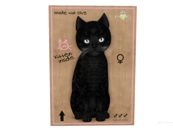 KittyCatS Box - 9 T - Bengal - Black
