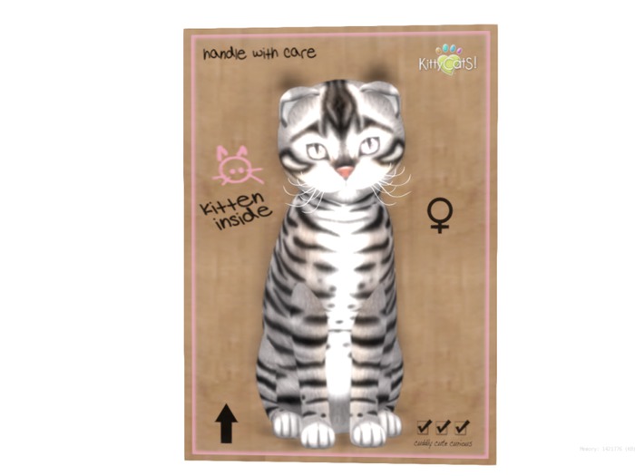 KittyCatS Box - 9 T - Toyger - Silver