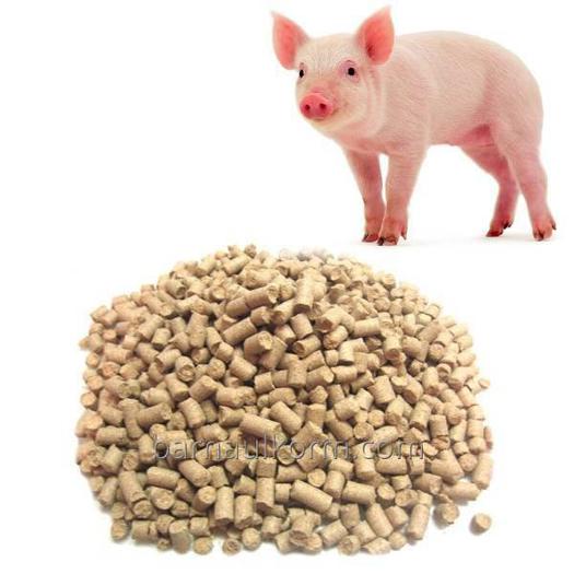 DFS Pig Food x5