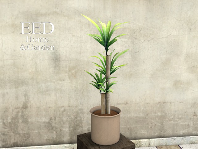 POTTED PLANT nr 9 w RESIZER c