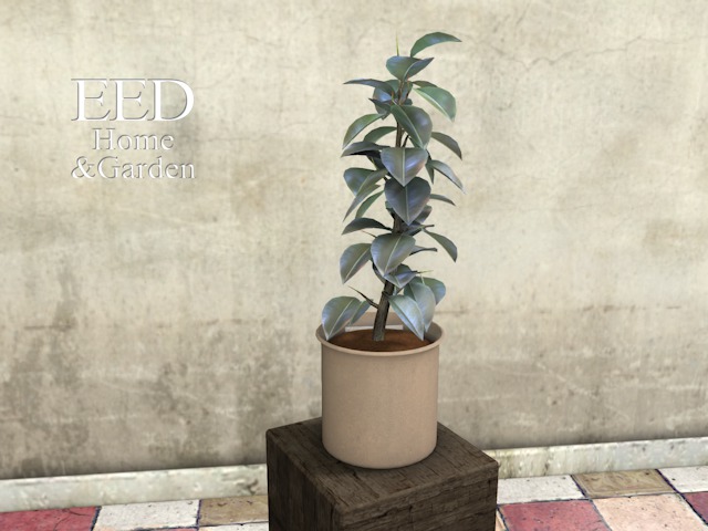 POTTED PLANT nr 8 w RESIZER c