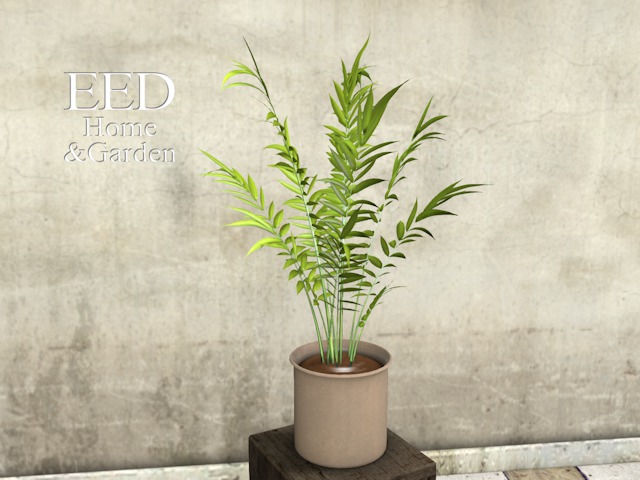 POTTED PLANT nr 7 w RESIZER c