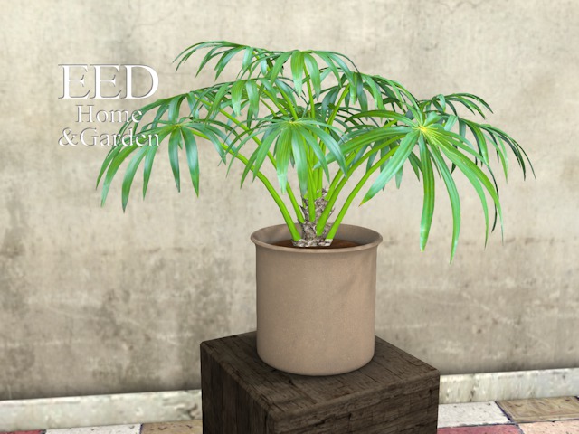 POTTED PLANT nr 6 w RESIZER c