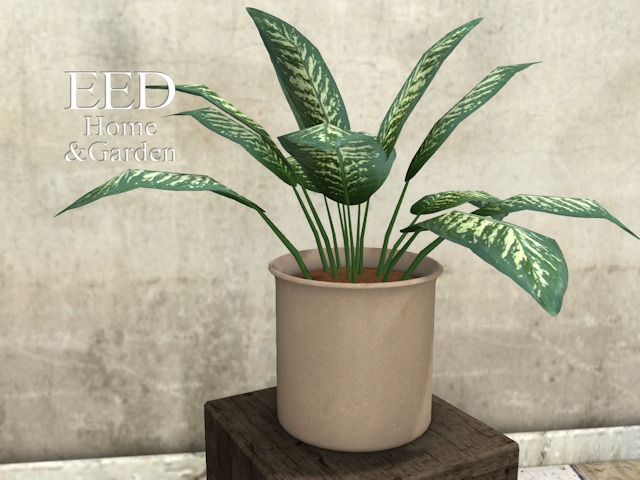 POTTED PLANT nr 5 w RESIZER c