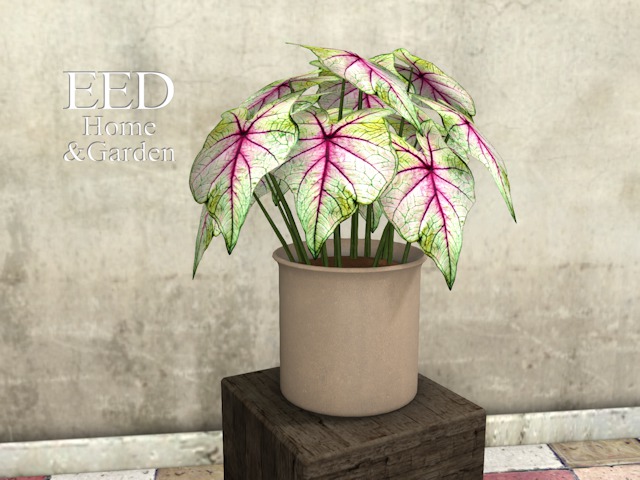 POTTED PLANT nr 4 w RESIZER c
