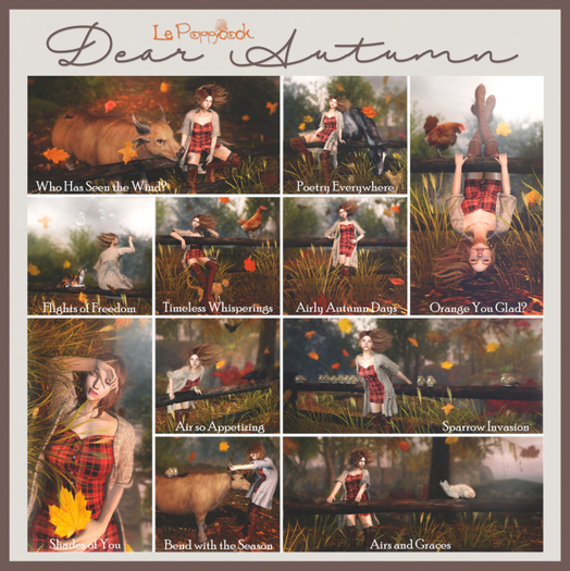 Le Poppycock *Dear Autumn* Shades of You