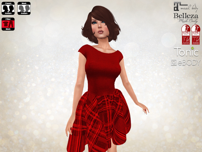 Winter Sequin Dress Ruby