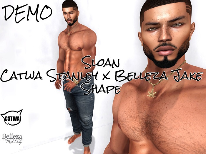 {Pulc} Sloan Shape DEMO