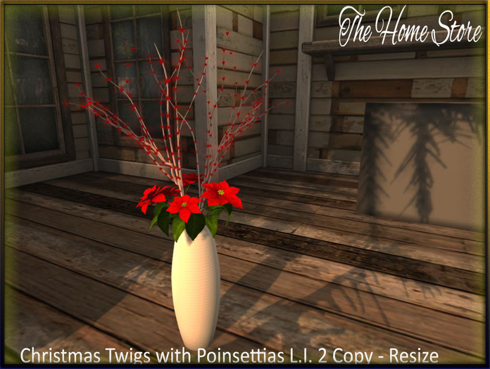 Christmas Poinsettias 