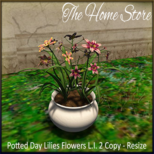 Flowers Planter