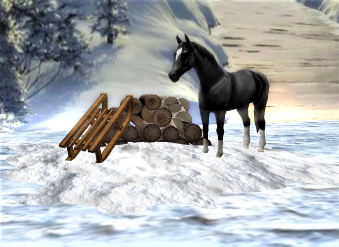 Snow scene with horse