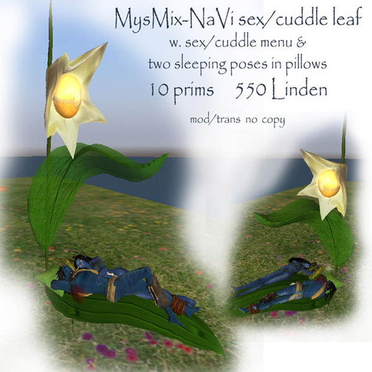 MysMix-NaVi sex/cuddle leaf boxed