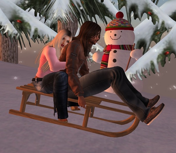 DO Winter Sled