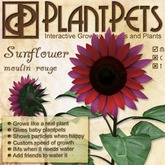 PlantPet Seed [Sunflower *Moulin Rouge*]