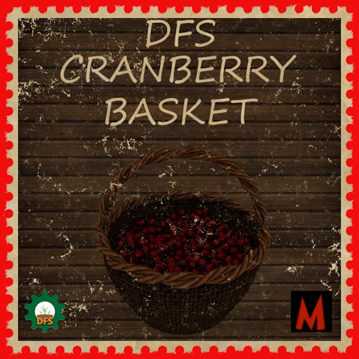 DFS Cranberry Basket