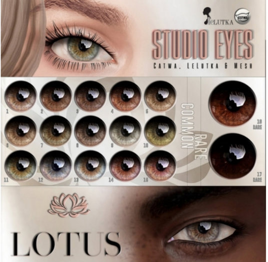 LOTUS. Studio Eyes 16 RARE