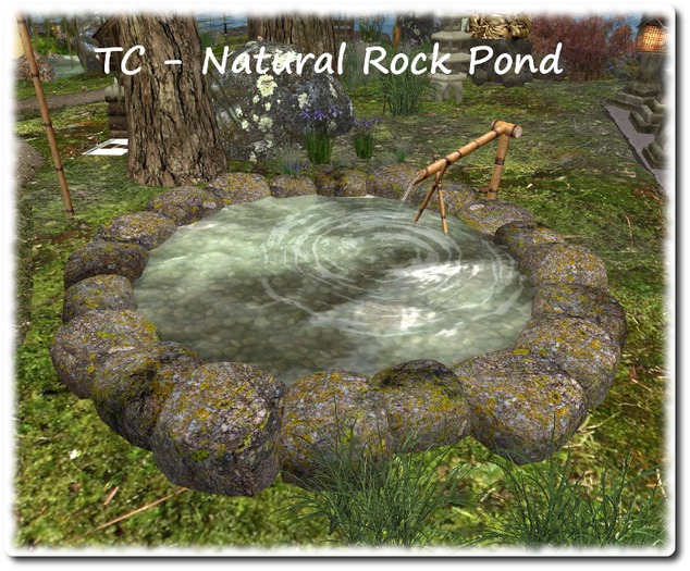 TC - Natural Rock Pond