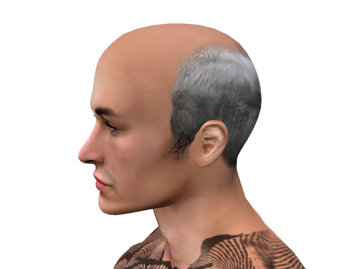 [Px] Receding Hairbase (black&white/tintable)