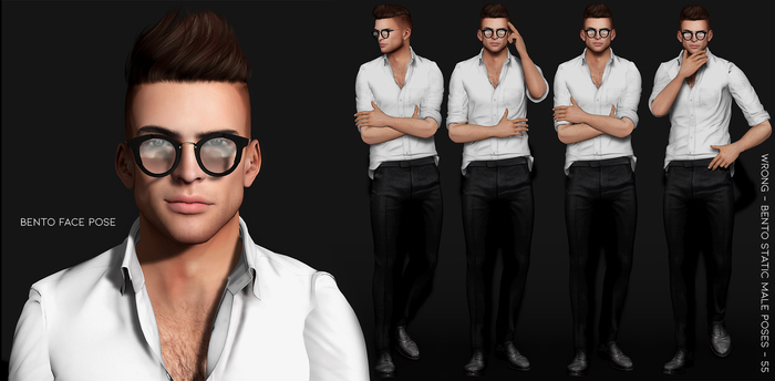 WRONG - Bento Static Male Poses - 55