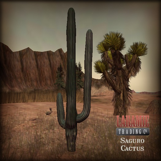 [Blackwood Traders] Saguaro Cactus-Boxed