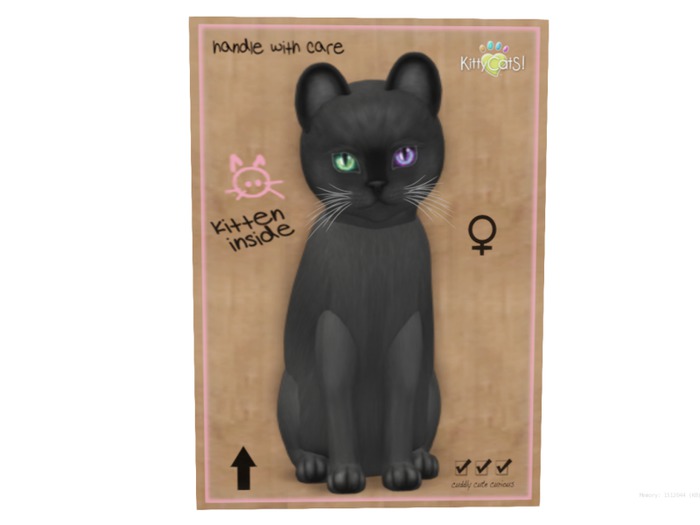 KittyCatS Box - 9 T - F - Burmese - Blue