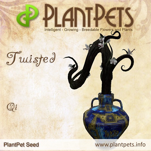 PlantPet Seed [Twisted *Qi*] - RARE ELITE