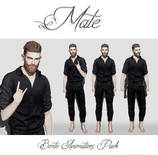 Go&See * Mate * Bento Animation Pack + Breathing