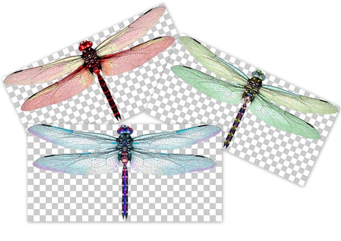 Dragonfly Alpha Textures Fullperm