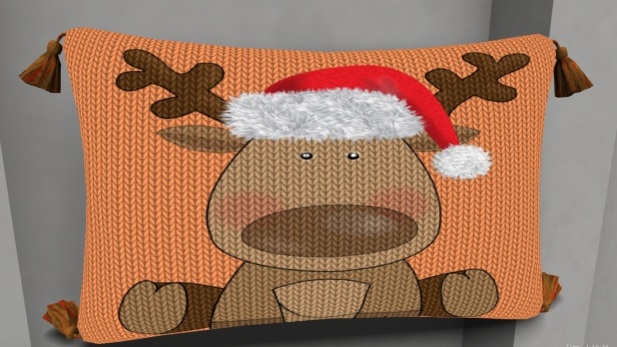 accent pillow Rudy B