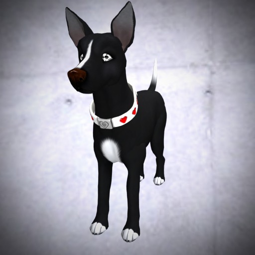 Second Life Marketplace Amaretto Jack Russell Terrier Mutt kennel