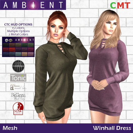 [AMBI] Mesh Winhall Dress (BOXED)