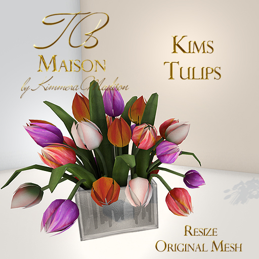 TB Maison Kim's Tulips BOXED ADD to unpack