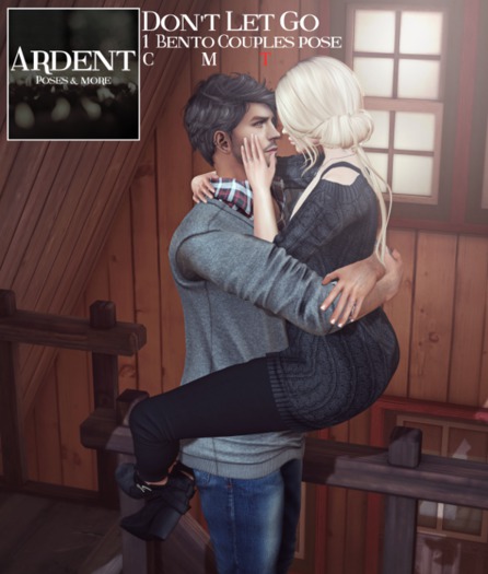 Ardent Poses - Don't Let Go