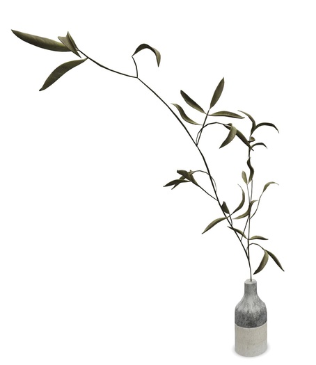 4. AF Reaching Plant