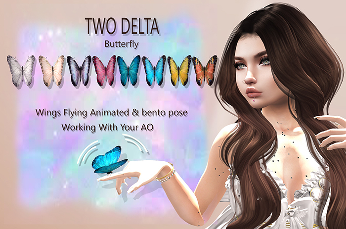 ::TD:: Flying Butterfly Bento