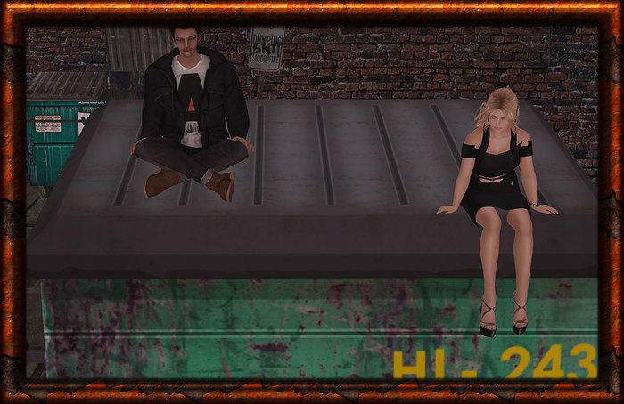 Large Commercial Bin