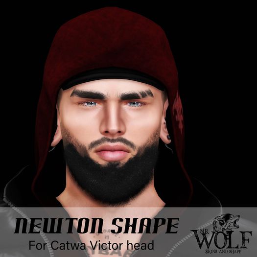 "MR WOLF" Shape Bento NEWTON