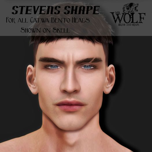 "MR WOLF" Shape Bento STEVENS