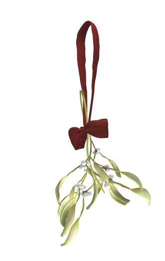 7. AF Hanging Mistletoe