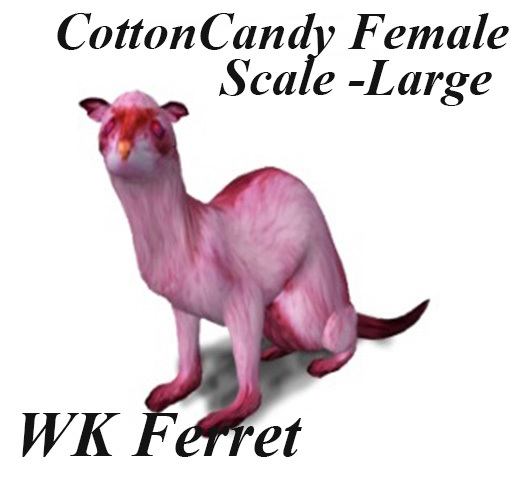 WK Ferret