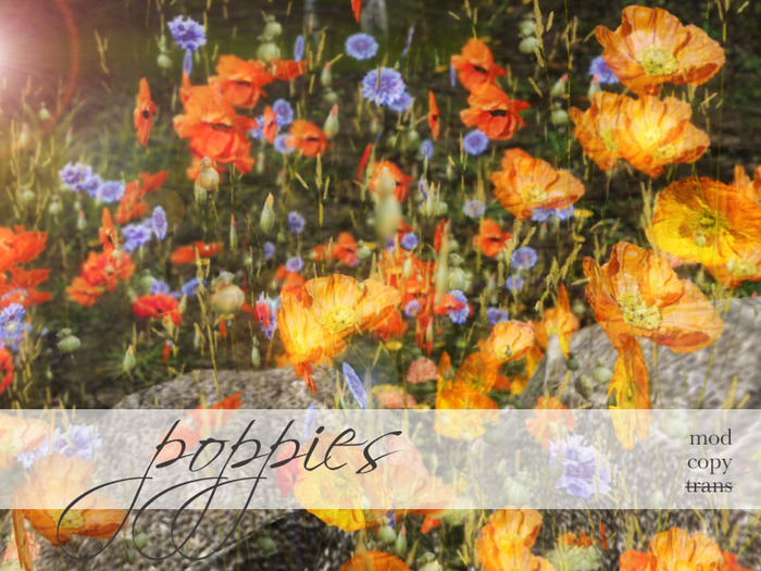 Samsa . Poppy flower pack