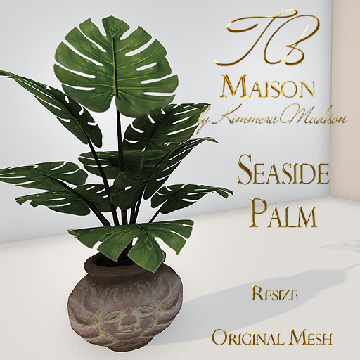 TB Maison Seaside Palm ADD to unpack