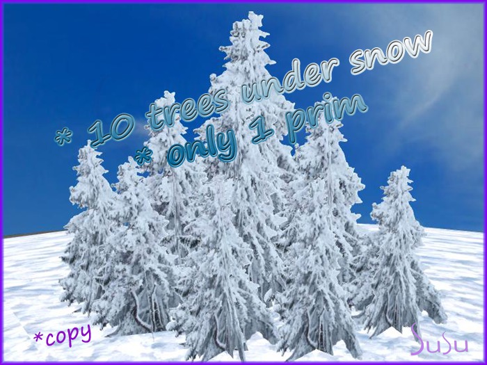 susu-10 fir trees under snow - 1prim