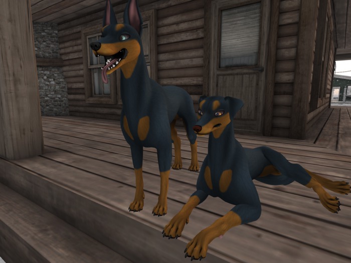 ❤*PP* [M.O.R] Hellhund: Blue Dobi Mod❤