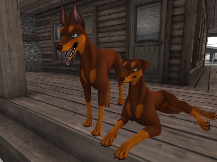 ❤*PP* [M.O.R] Hellhundd: Red Dobi Mod❤