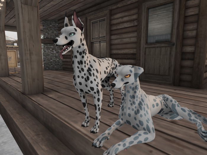 ❤*PP* [M.O.R] Hellhund: Dalmatian Black&Silver Mod❤