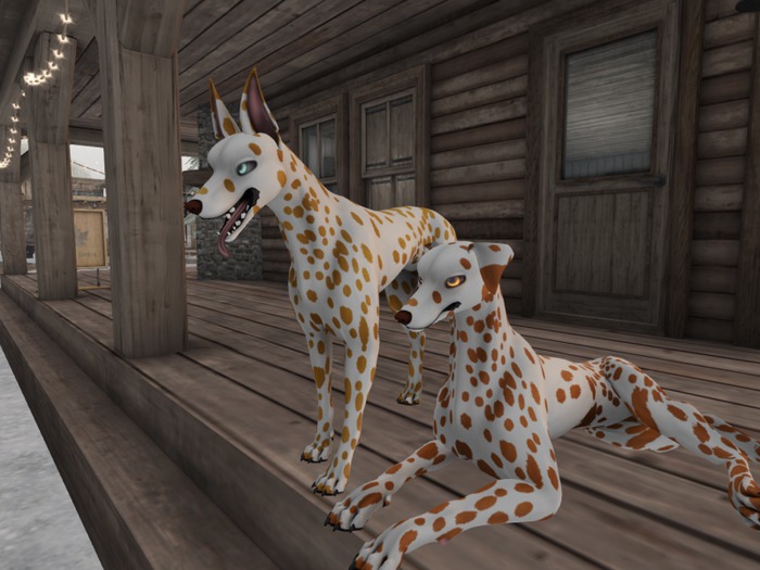 ❤*PP* [M.O.R] Hellhund: Dalmatian Brown&Red Mod❤