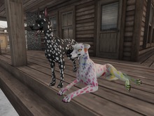 ❤*PP* [M.O.R] Hellhund: Dalmatian Invert&Pastel Mod❤